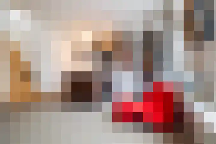 Ginnekenweg 330 Breda thumbnail 33