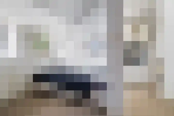 Ginnekenweg 330 Breda thumbnail 40