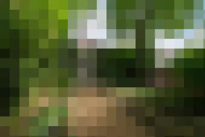 Ginnekenweg 330 Breda thumbnail 5