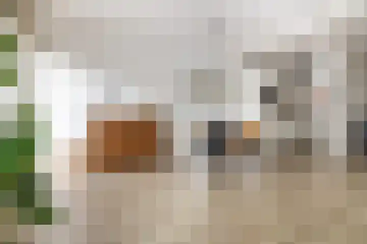 Ginnekenweg 337 B4 Breda thumbnail 13