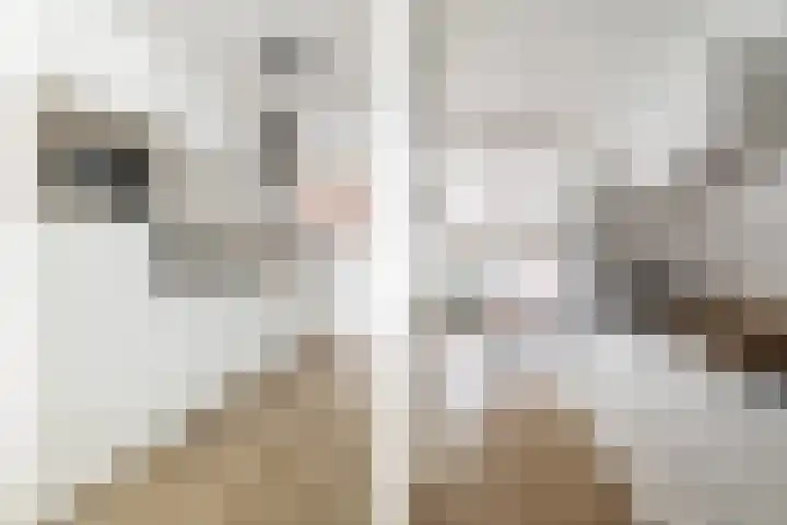 Ginnekenweg 337 B4 Breda thumbnail 14