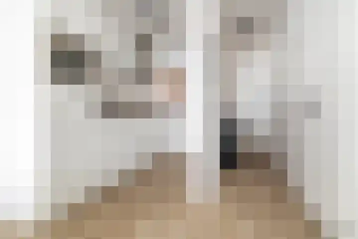 Ginnekenweg 337 B4 Breda thumbnail 15