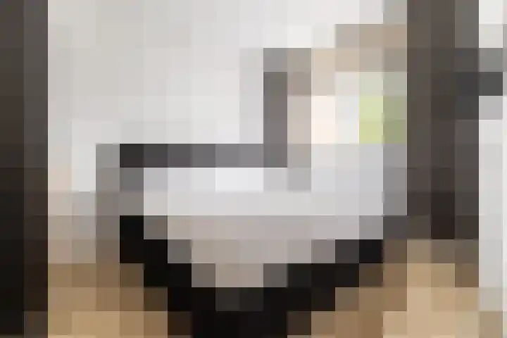 Ginnekenweg 337 B4 Breda thumbnail 17