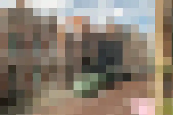 Ginnekenweg 337 B4 Breda thumbnail 20