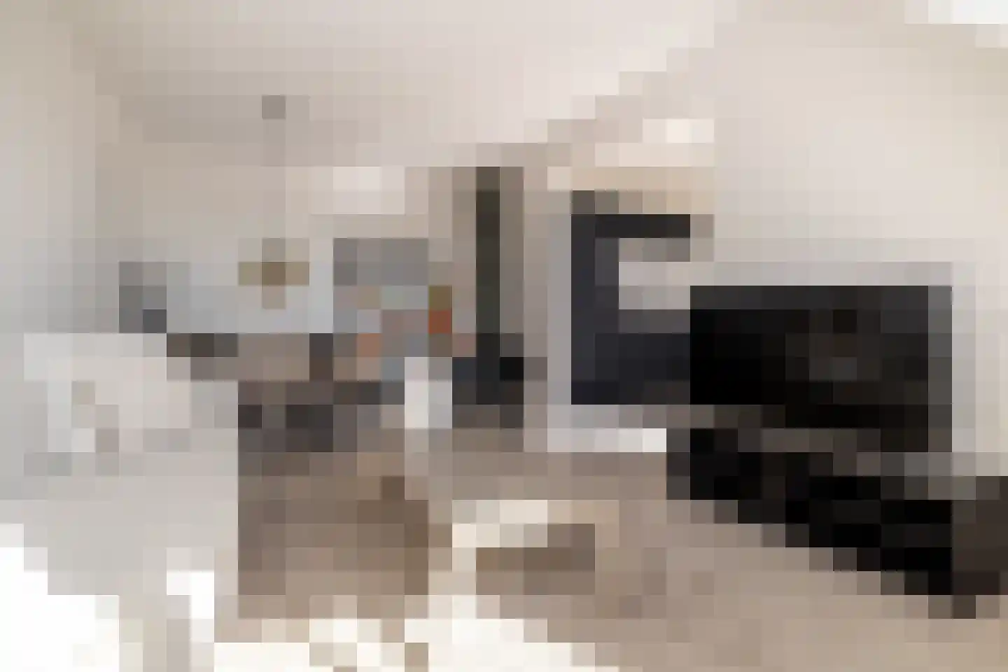 Ginnekenweg 337 D10 Breda thumbnail 13