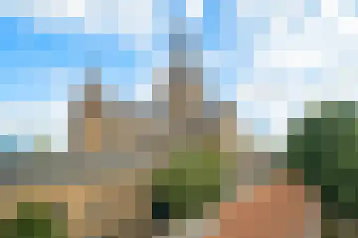 Ginnekenweg 337 D9 Breda thumbnail 35