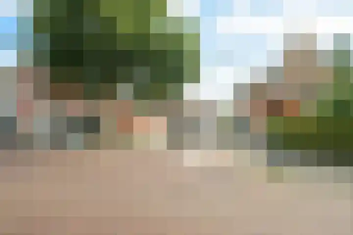 Ginnekenweg 337 D9 Breda thumbnail 41