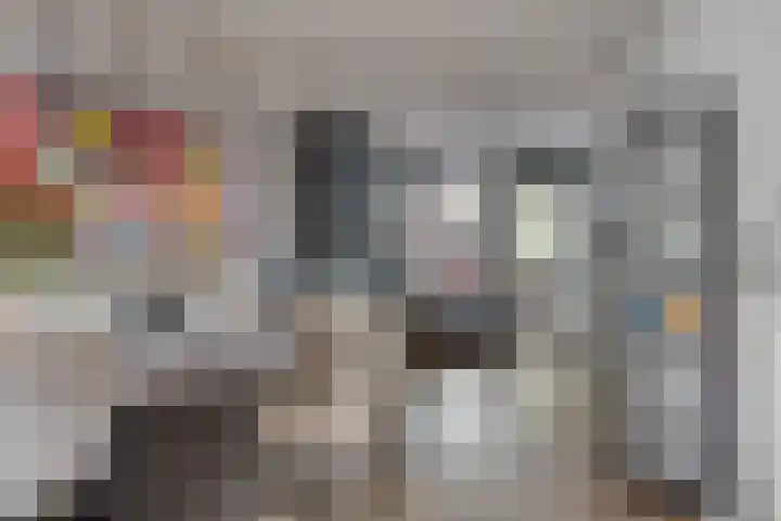 Ginnekenweg 53 Breda thumbnail 23