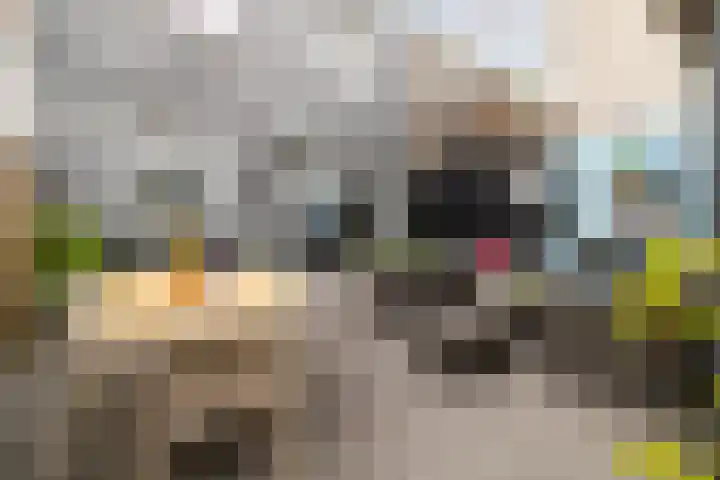 Ginnekenweg 7 Breda thumbnail 19