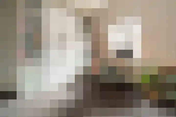 Ginnekenweg 7 Breda thumbnail 22