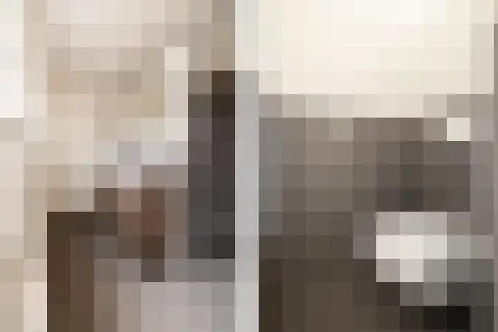 Ginnekenweg 7 Breda thumbnail 32