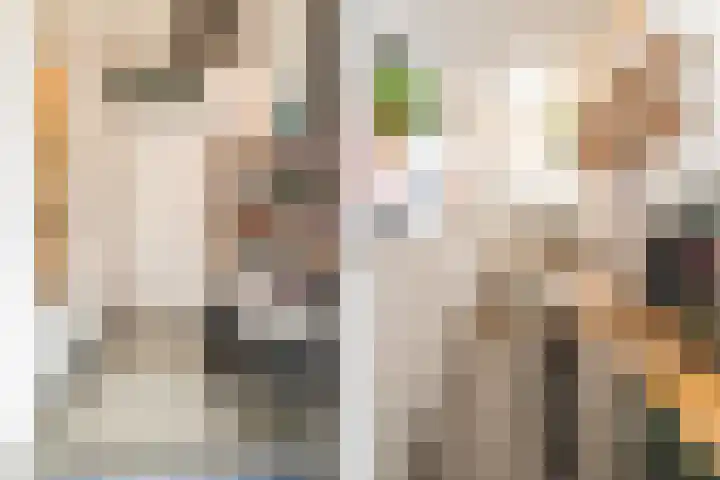 Ginnekenweg 7 Breda thumbnail 7