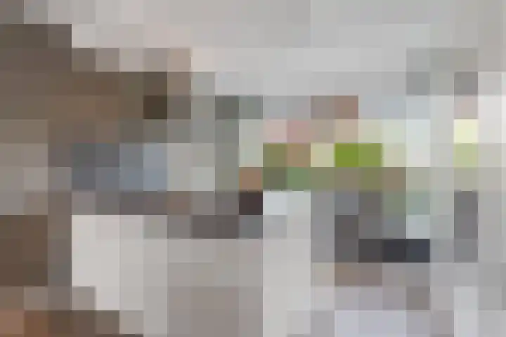 Giottoplantsoen 8 Almere thumbnail 17