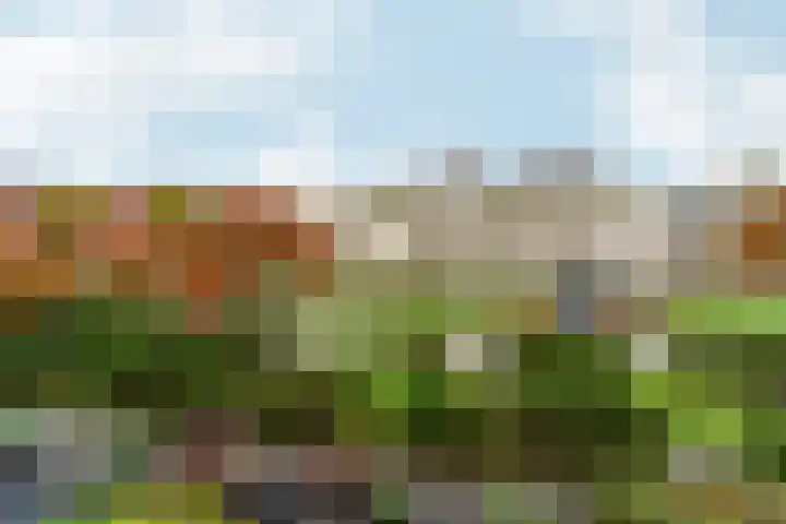 Giottoplantsoen 8 Almere thumbnail 36