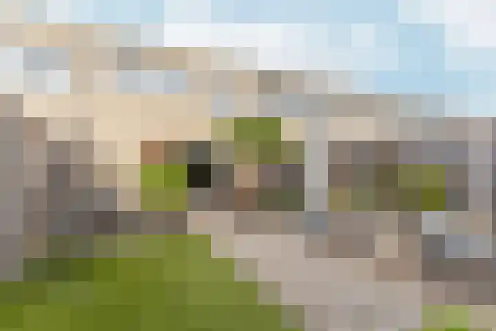 Giottoplantsoen 8 Almere thumbnail 41
