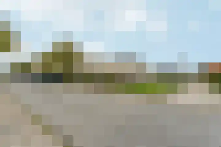 Giottoplantsoen 8 Almere thumbnail 46