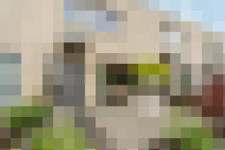 Giottoplantsoen 8 Almere thumbnail 6