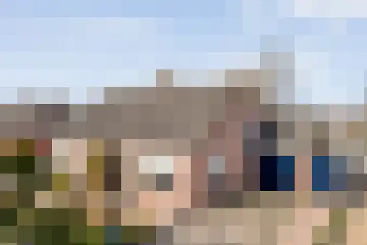 Gipskruid 6 dans Nieuwleusen