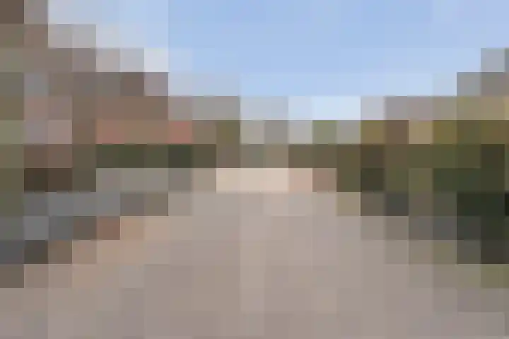 Gipskruid 6 Nieuwleusen thumbnail 10