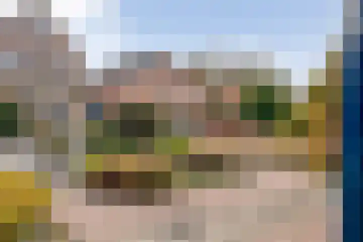 Gipskruid 6 Nieuwleusen thumbnail 11