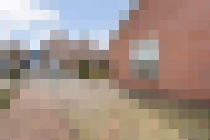 Gipskruid 6 Nieuwleusen thumbnail 12