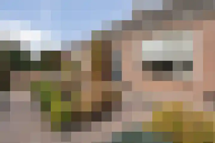 Gipskruid 6 Nieuwleusen thumbnail 13