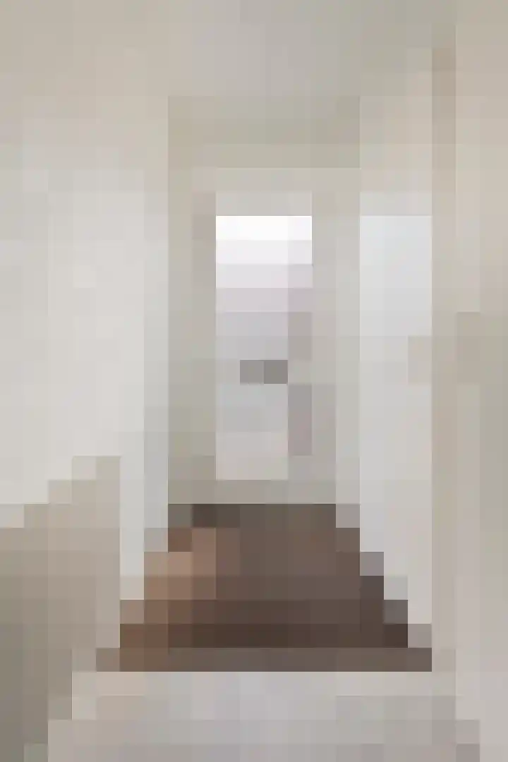 Gipskruid 6 Nieuwleusen thumbnail 14