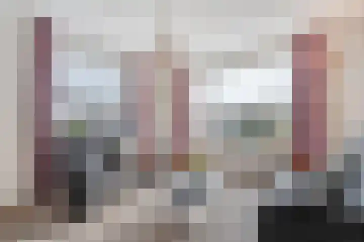 Gipskruid 6 Nieuwleusen thumbnail 17