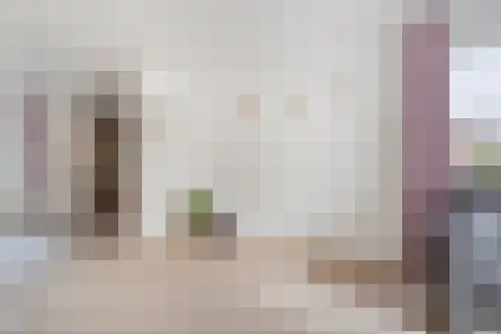 Gipskruid 6 Nieuwleusen thumbnail 18