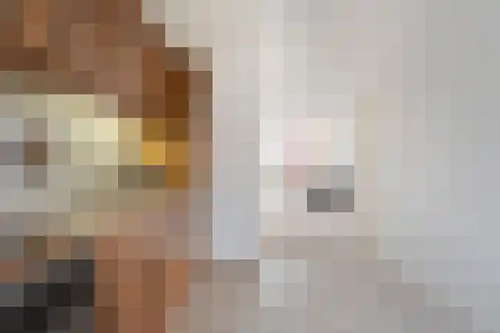 Gipskruid 6 Nieuwleusen thumbnail 20