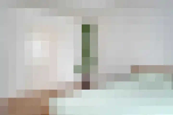 Gipskruid 6 Nieuwleusen thumbnail 22