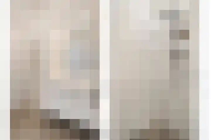 Gipskruid 6 Nieuwleusen thumbnail 24