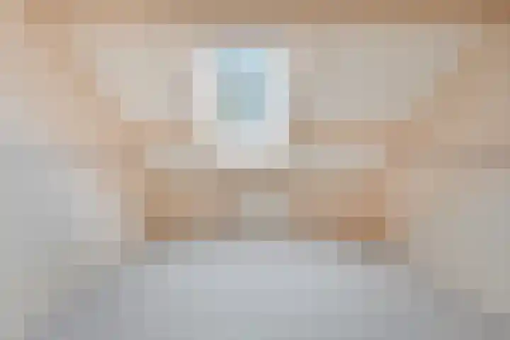 Gipskruid 6 Nieuwleusen thumbnail 30