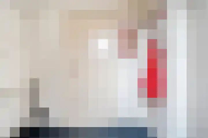 Gipskruid 6 Nieuwleusen thumbnail 32
