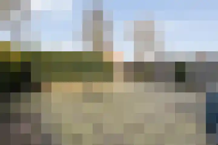 Gipskruid 6 Nieuwleusen thumbnail 36