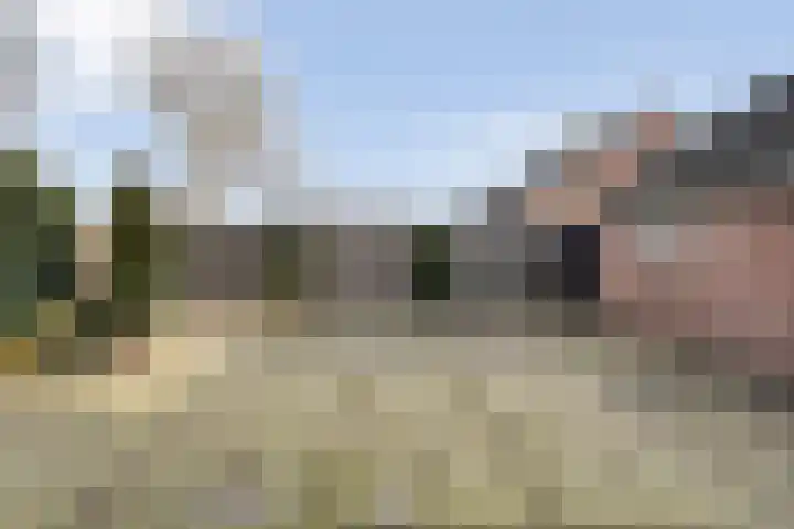 Gipskruid 6 Nieuwleusen thumbnail 37