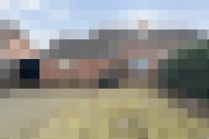 Gipskruid 6 Nieuwleusen thumbnail 38
