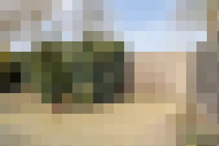 Gipskruid 6 Nieuwleusen thumbnail 39