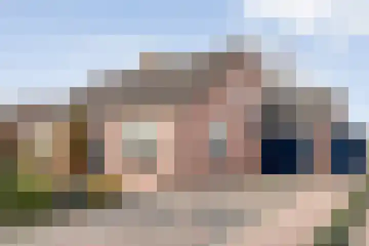 Gipskruid 6 Nieuwleusen thumbnail 4
