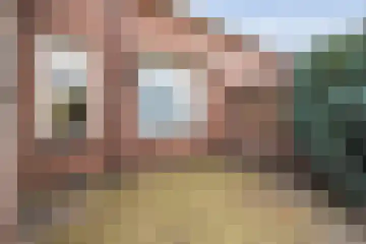 Gipskruid 6 Nieuwleusen thumbnail 40