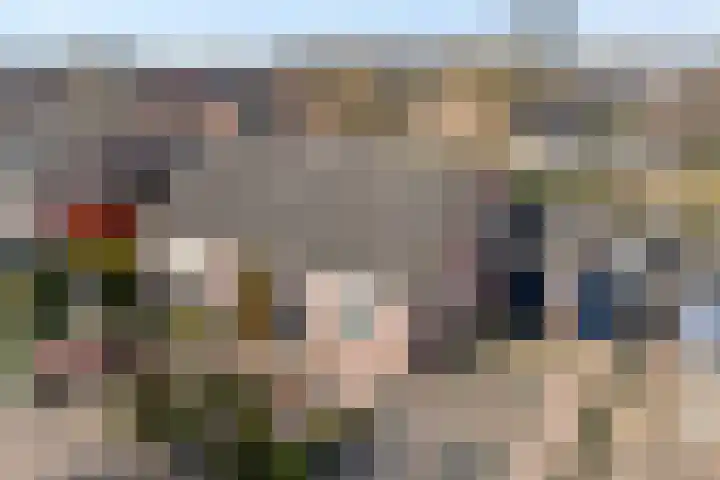Gipskruid 6 Nieuwleusen thumbnail 42