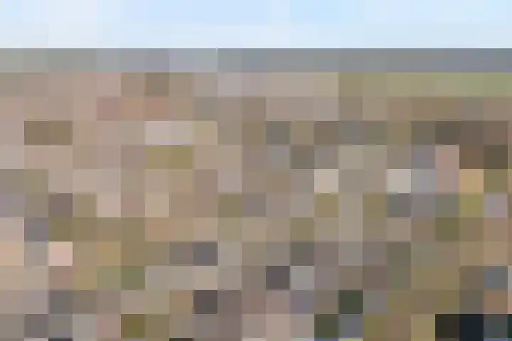 Gipskruid 6 Nieuwleusen thumbnail 43