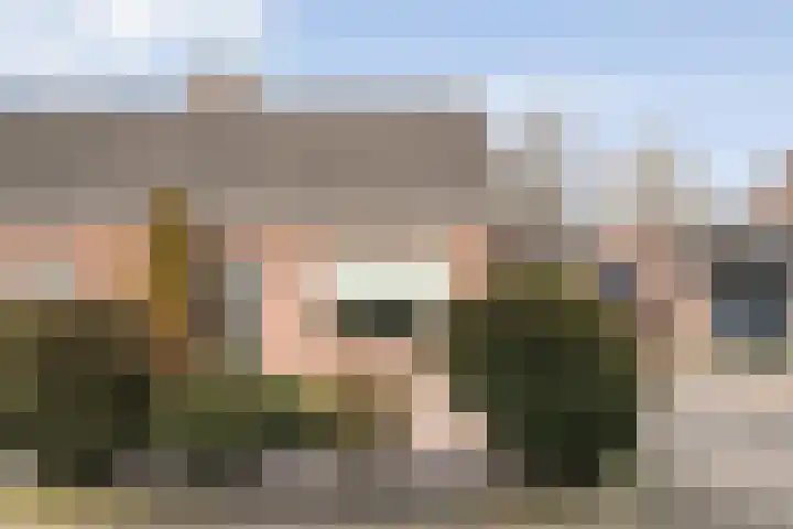 Gipskruid 6 Nieuwleusen thumbnail 5