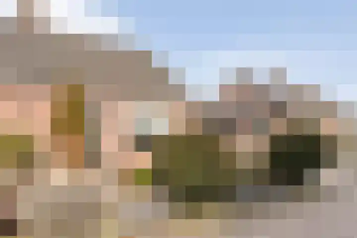 Gipskruid 6 Nieuwleusen thumbnail 6