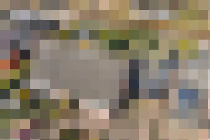 Gipskruid 6 Nieuwleusen thumbnail 7