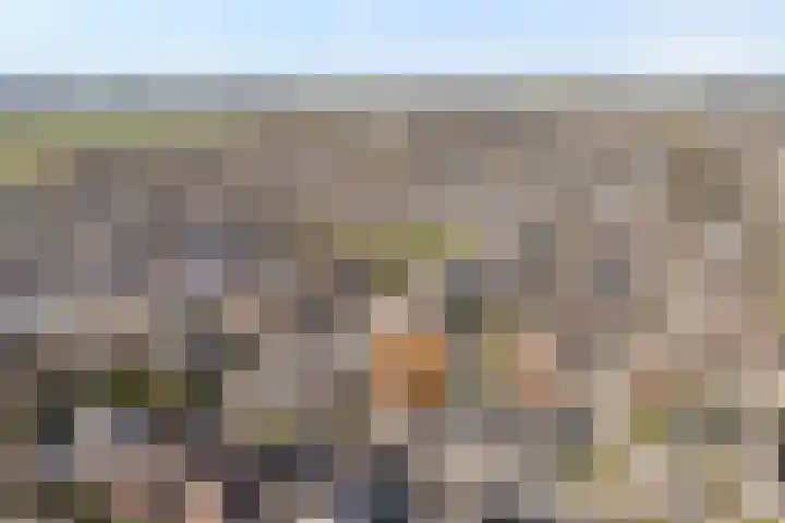 Gipskruid 6 Nieuwleusen thumbnail 8