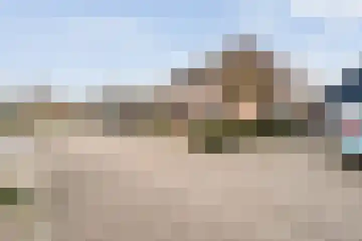 Gipskruid 6 Nieuwleusen thumbnail 9