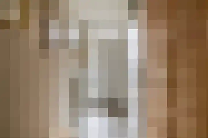 Gipskruid 8 Krimpen aan den IJssel thumbnail 10