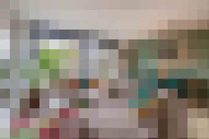 Gipskruid 8 Krimpen aan den IJssel thumbnail 12