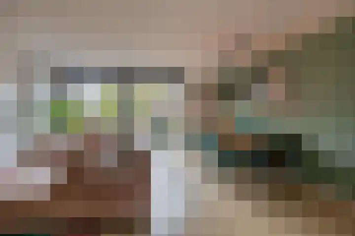 Gipskruid 8 Krimpen aan den IJssel thumbnail 13